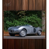Металлическая табличка Arnolt-Bristol Deluxe Roadster